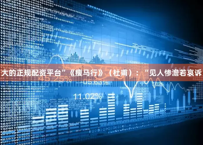 大的正规配资平台”《瘦马行》（杜甫）：“见人惨澹若哀诉